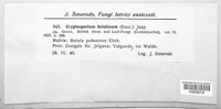 Image Associated With the Occurence